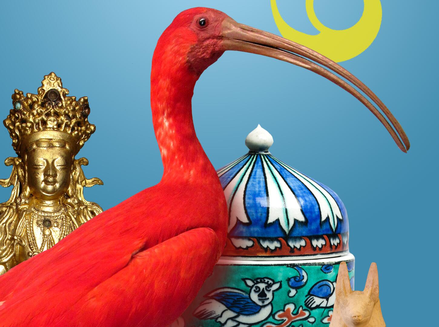 05-16 06-13 visuel visite