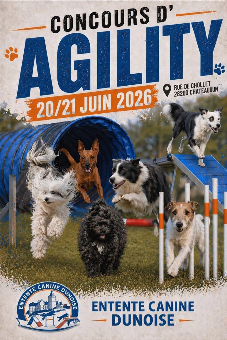 06-20 Concours d'agility