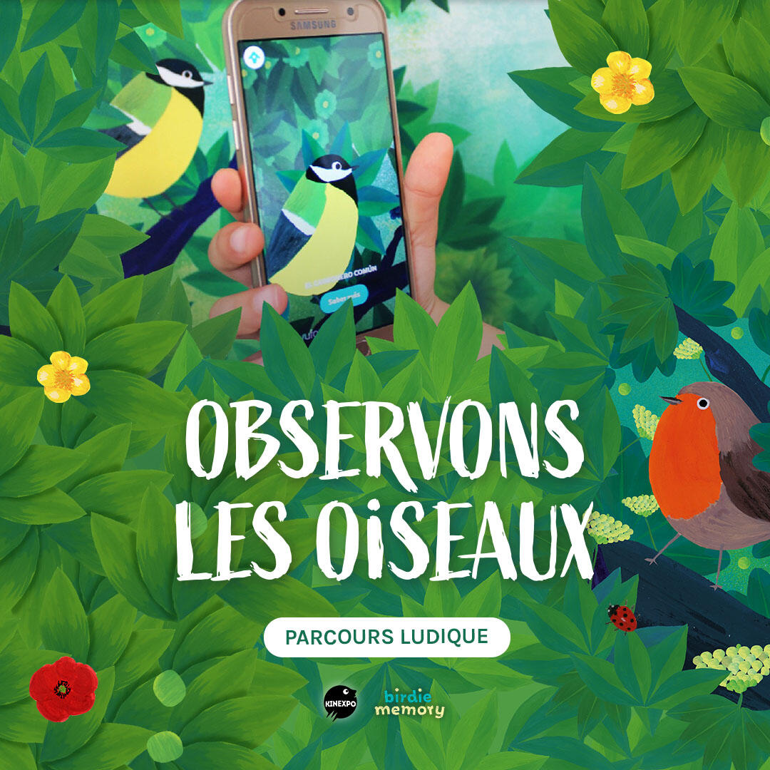 01-28 observons les oiseaux cloyes