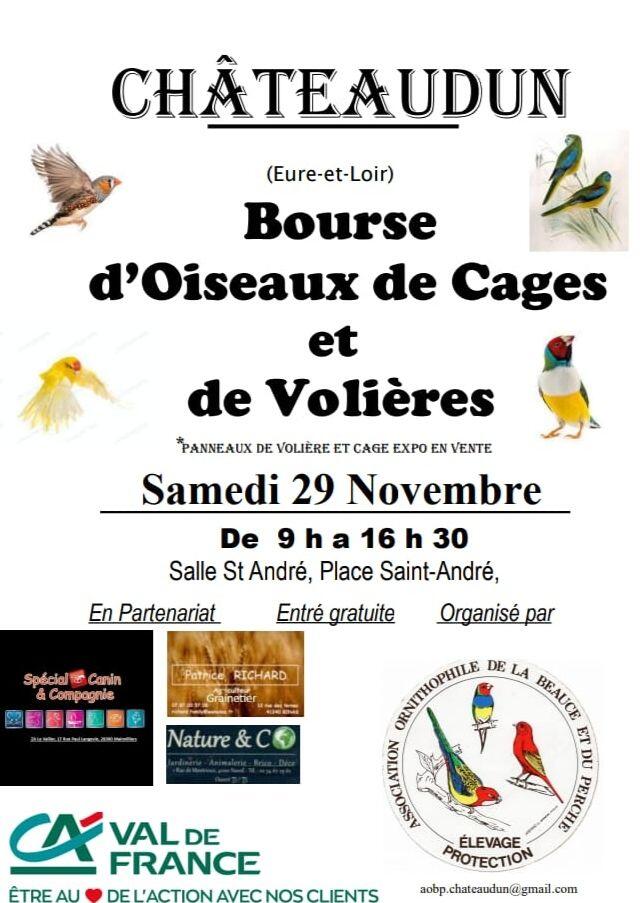 11-29 bourse oiseaux