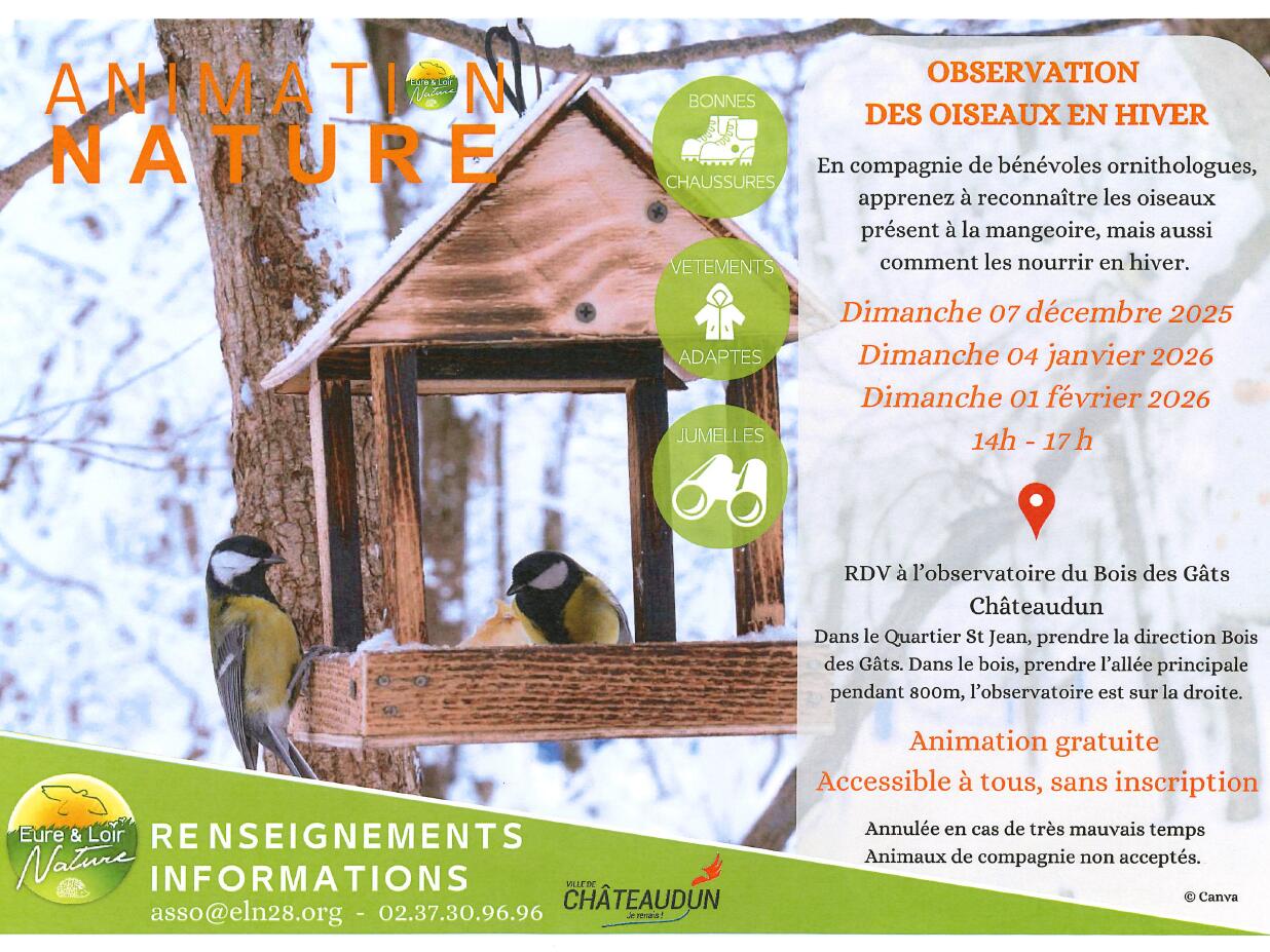 12-7 observation des oiseaux