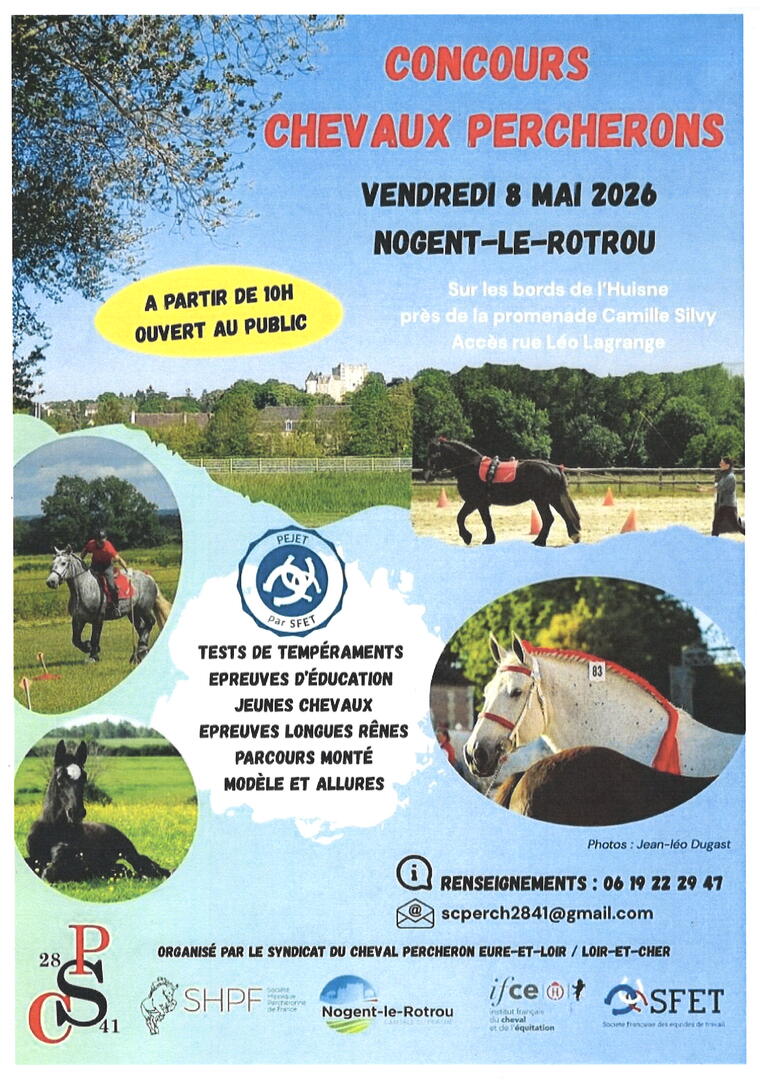 Chevaux Percherons