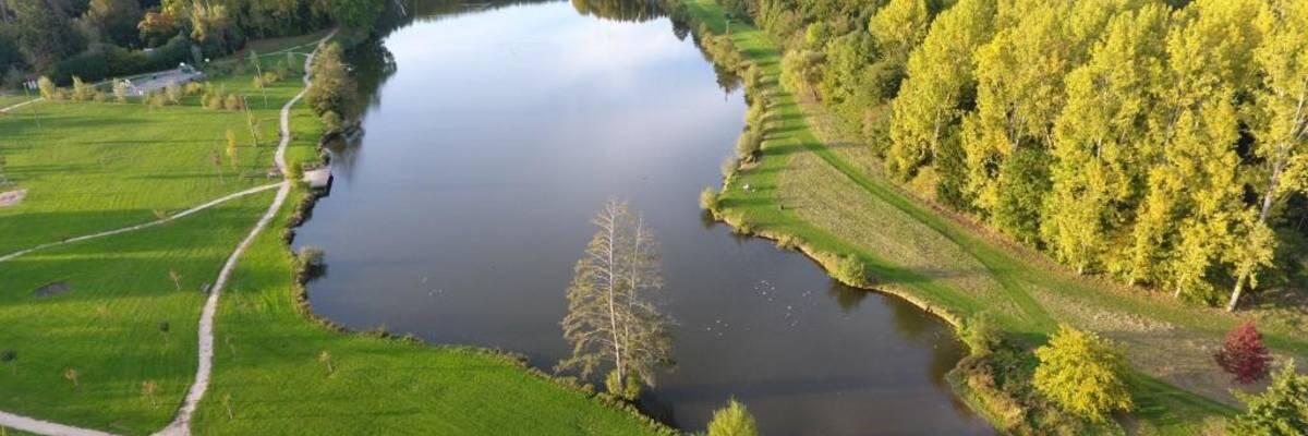 Etang de Barjouville