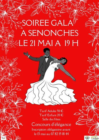 21 mai senonches concours d'élégance