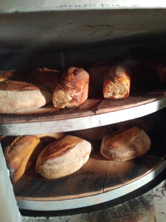 21juillet2025photo1 (1)