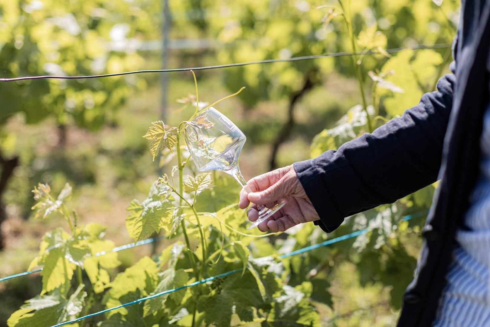 629496877_122201862950499545_4647596805242988220_n