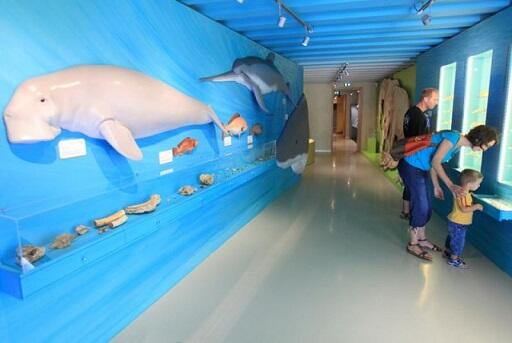 Maison-des-Faluns---Trefumel