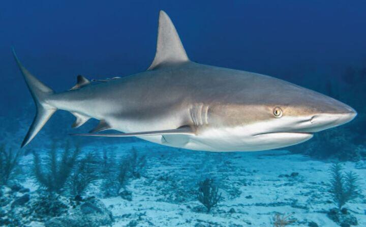 Maison des faluns image-219726