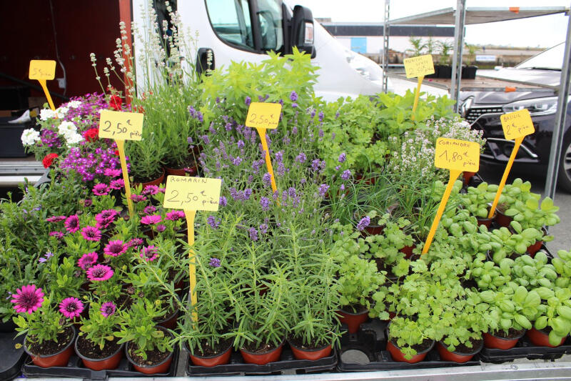 Marché aux fleurs - Plobannalec-Lesconil - Pays Bigouden - Bigoudenjoy