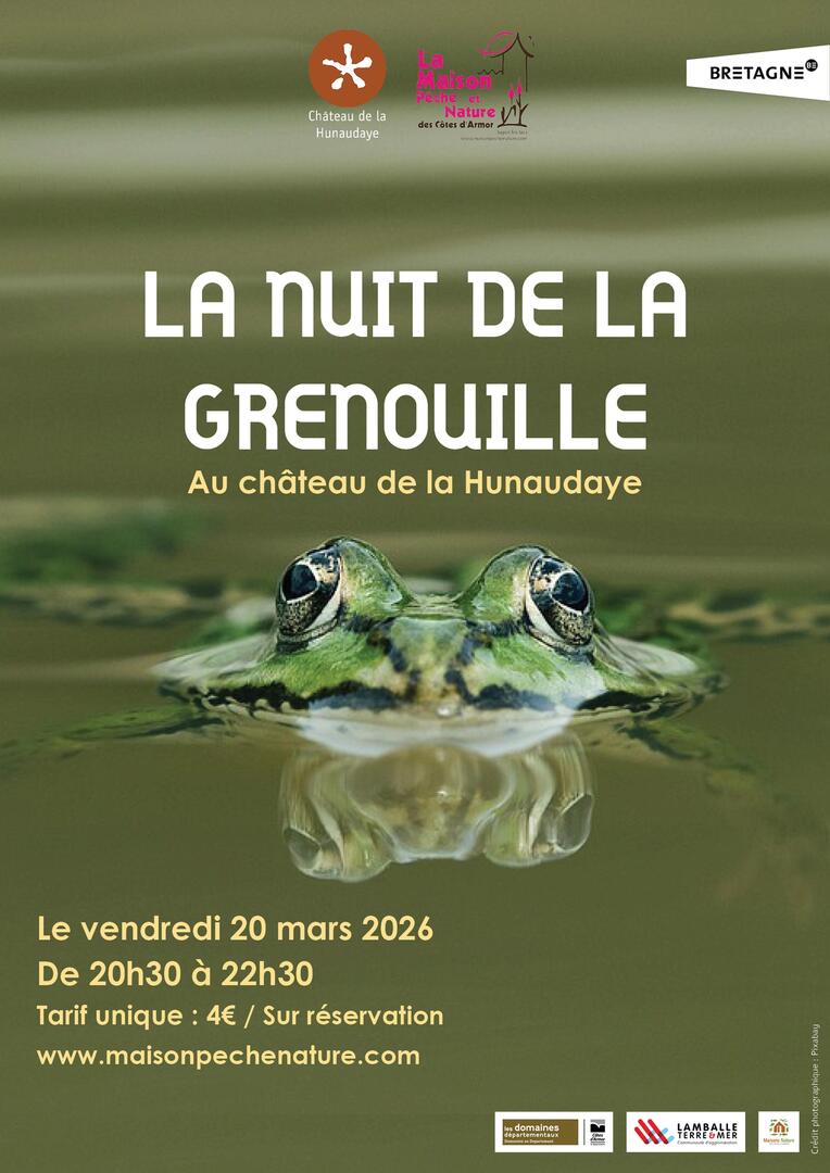 AFFICHE Nuit de la grenouille