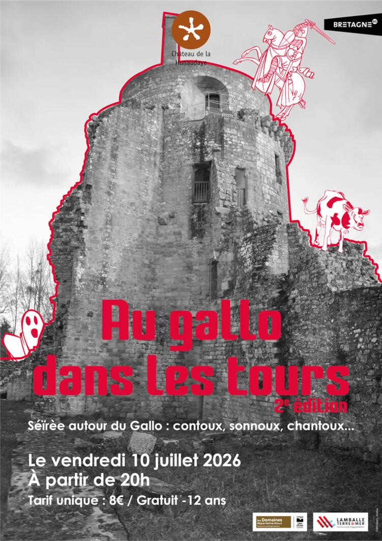 AFFICHE Soirée Gallo