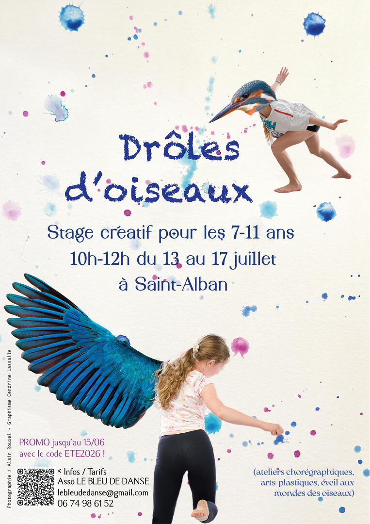 Affiche droles doiseaux