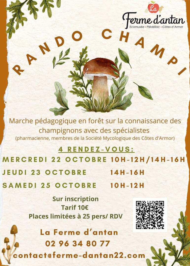 Affiche rando champi 2024 - Affiche rando champi 2025