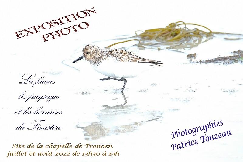 Aout 31 ST JEAN Expo Patrice Thouzeau