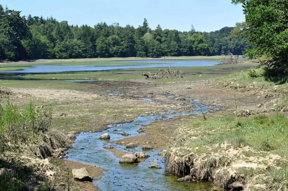 Balade nature et boisée à Roscourée - Combrit-Sainte Marine - Pays Bigouden