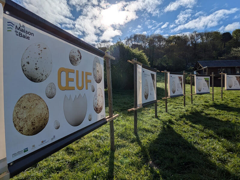 Expo oeuf maison de la Rance