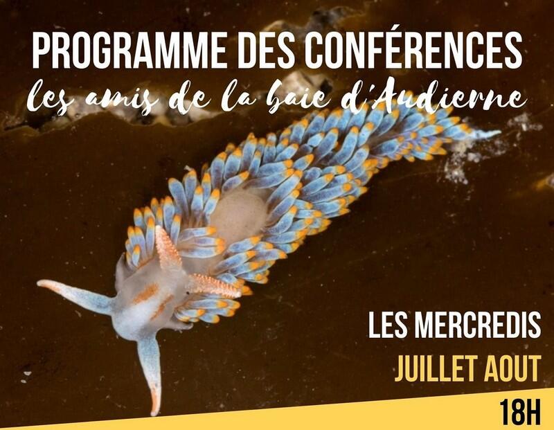 Conférence Maison de la baie d'Audierne - Tréguennec - Pays Bigouden - 2