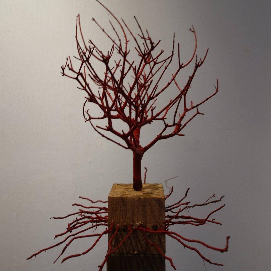 Expo Erik Hindelang - Plobannalec-Lesconil - Pays Bigouden - Bigoudenjoy
