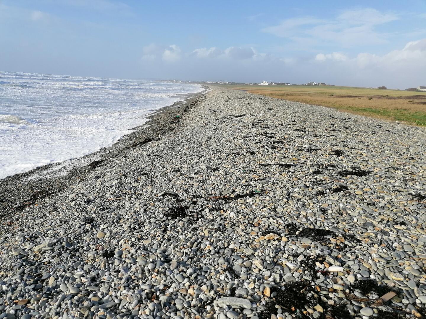 Balade nature - Plovan - Pays Bigouden