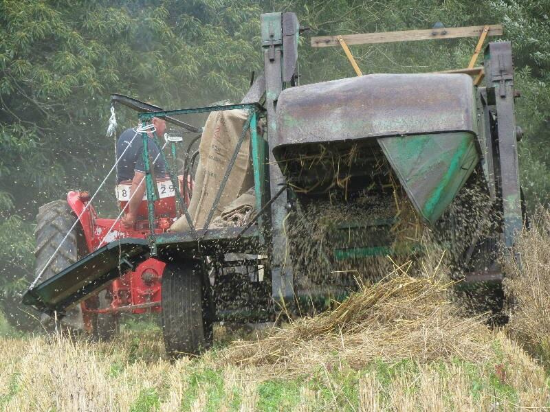 Fête de la moisson - Pouldreuzic-Pays Bigouden