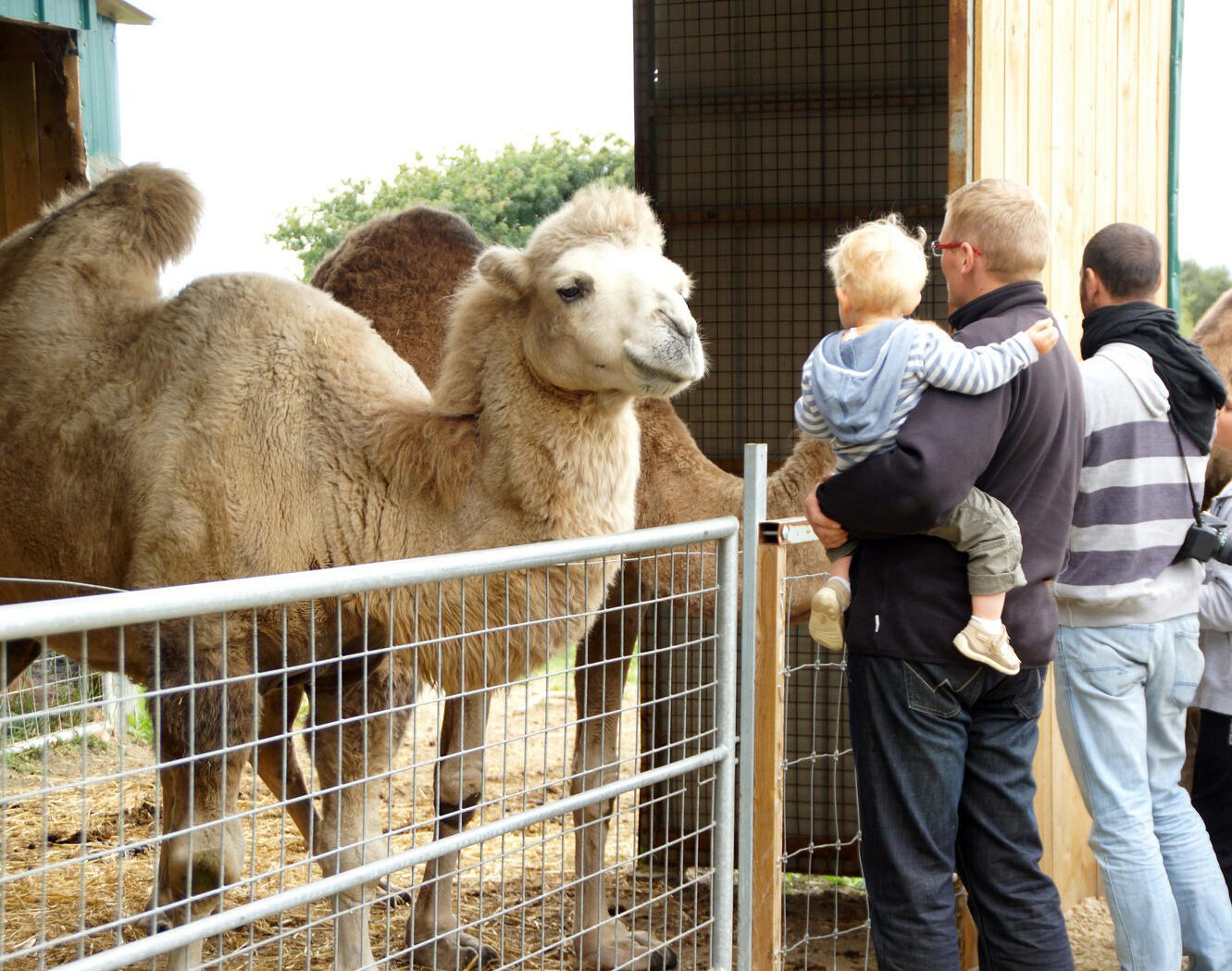 Ferme Eden St-Vougay