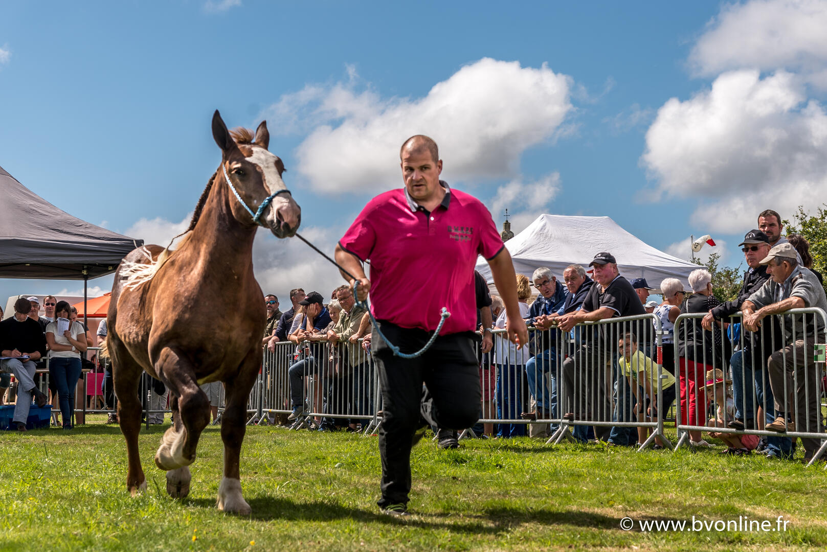 Foire du Menez Bré