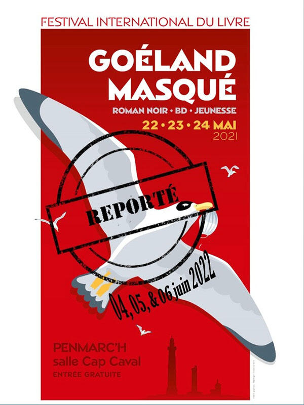 Goéland-Masqué-reporté