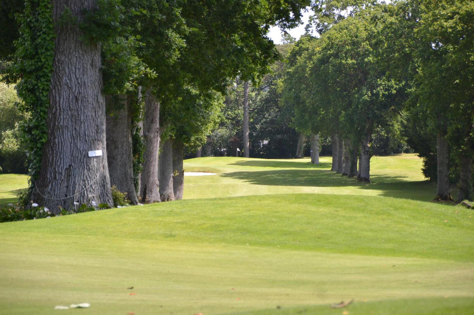 Golf de la crinière