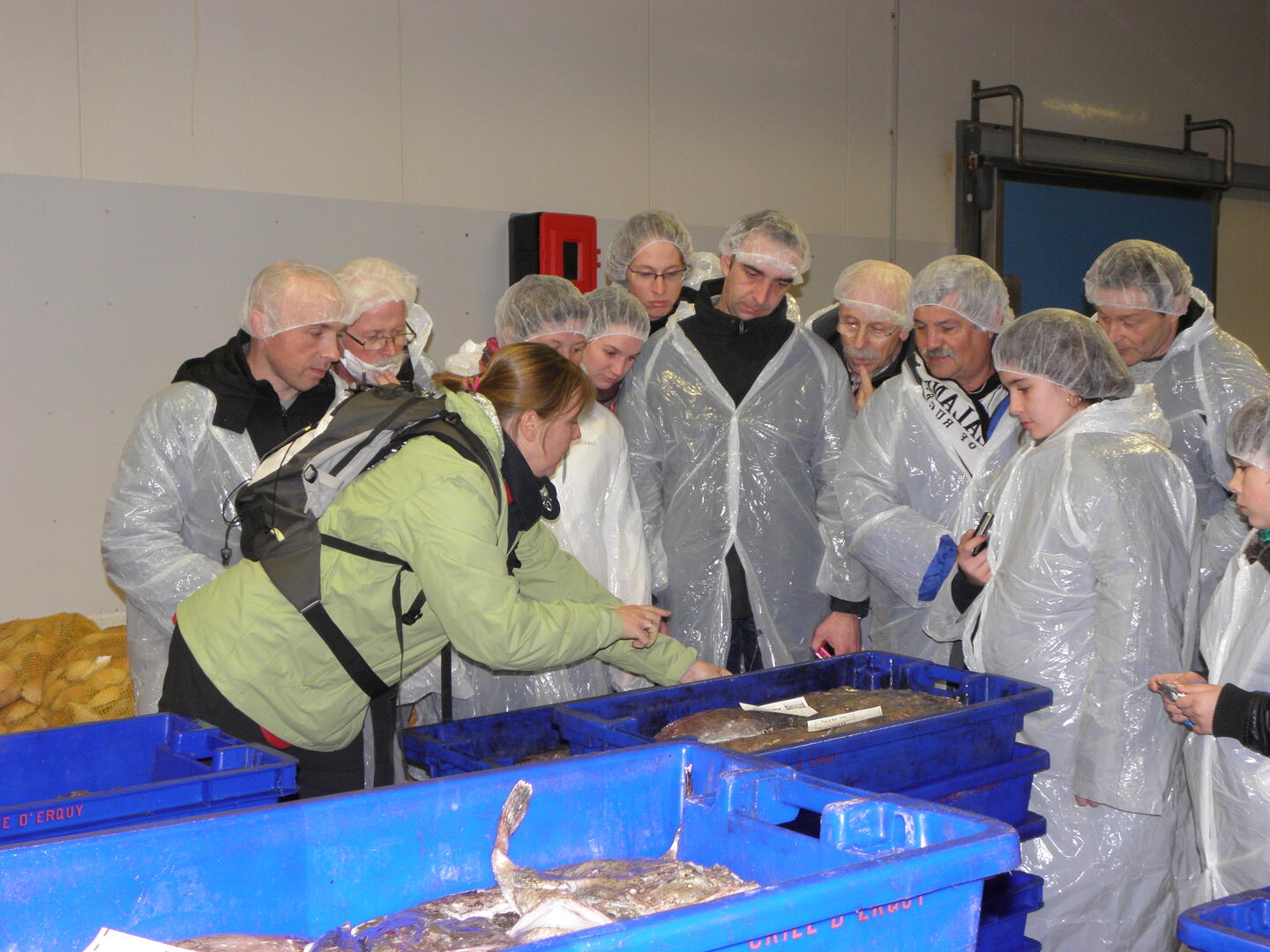 Autour des bacs à poissons ...