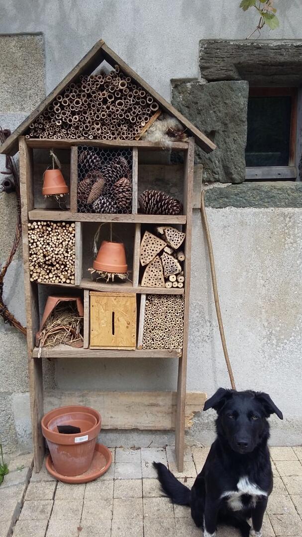 Hôtel à insectes - Landudec - Pays Bigouden