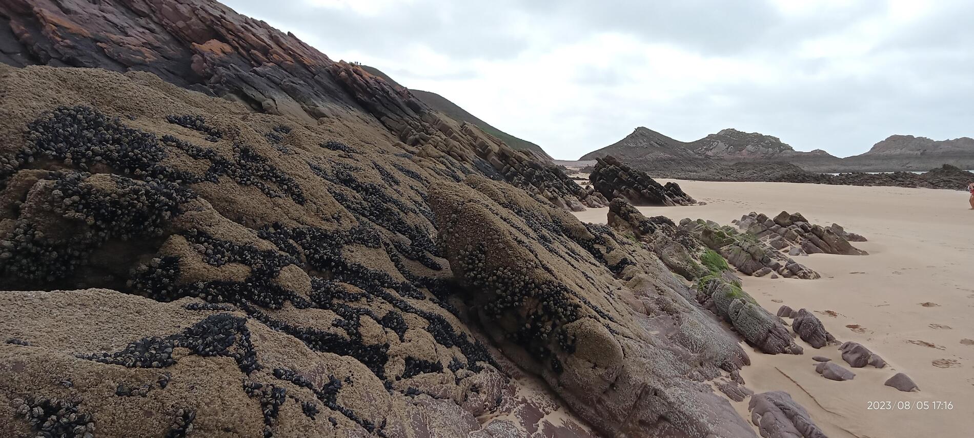 IMG20230805171619_00