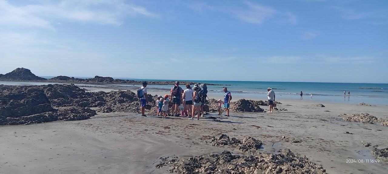 IMG20240811164925_00(2)