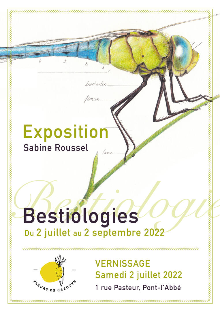 Exposition - Bigoudenjoy - Pont-l'Abbé