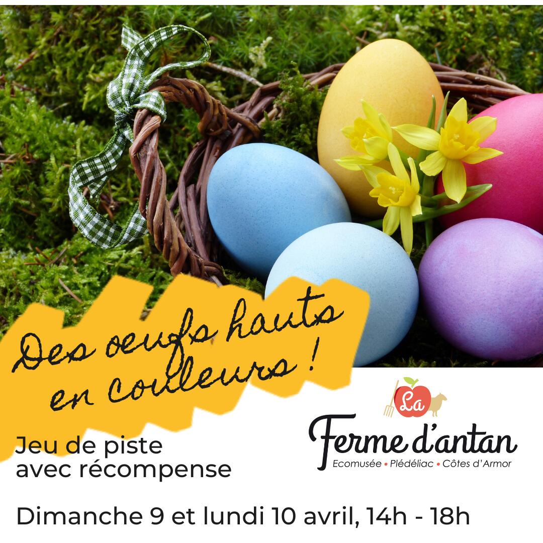 Oeufs hauts en couleurs - 1