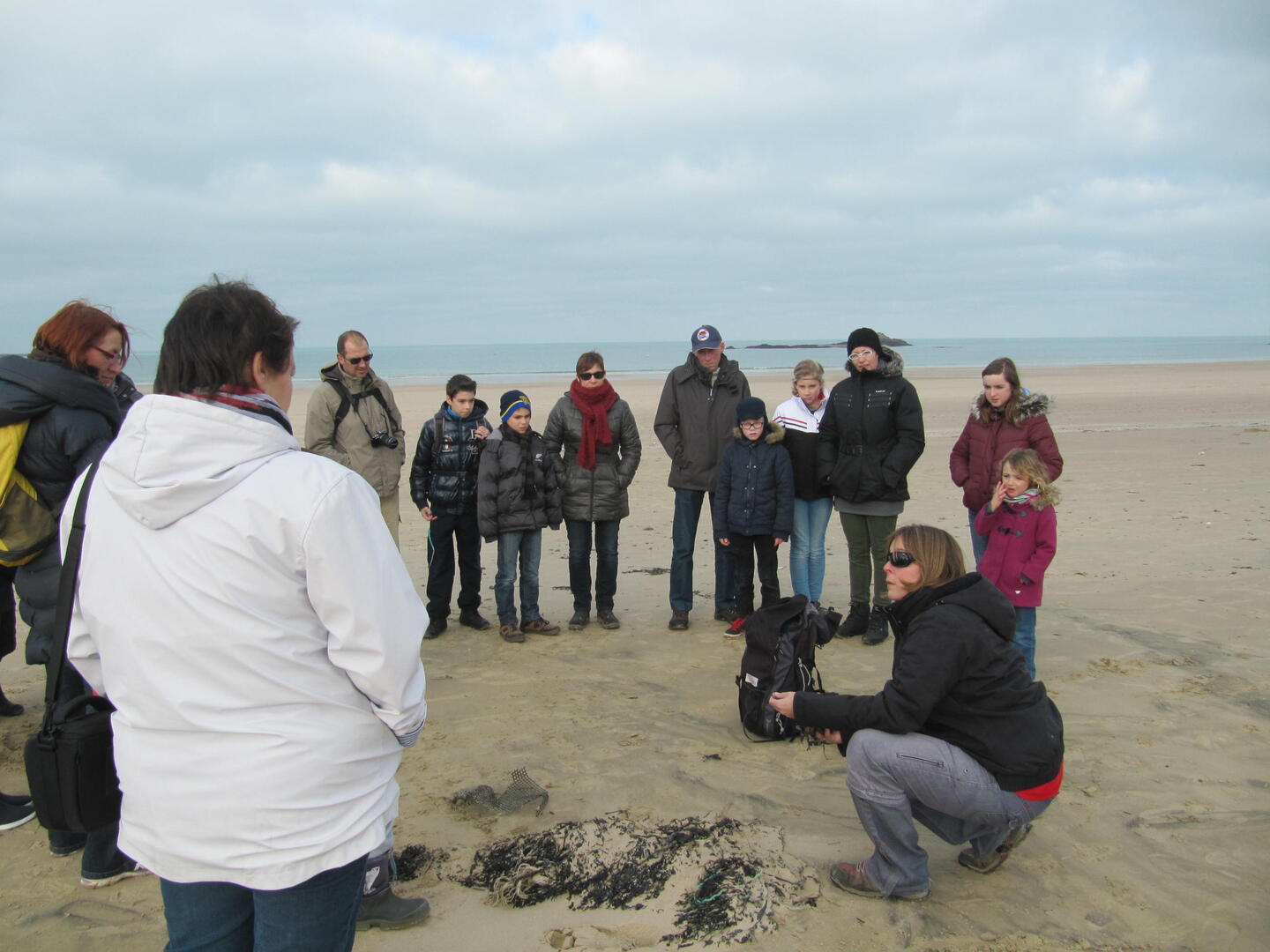 Les mystères de la laisse de mer