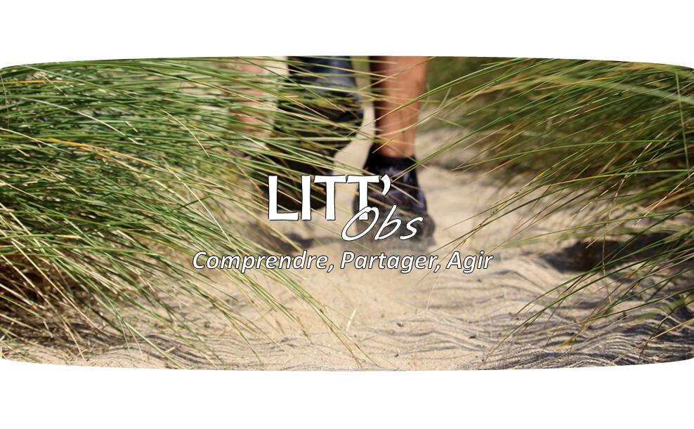 Litt'Obs