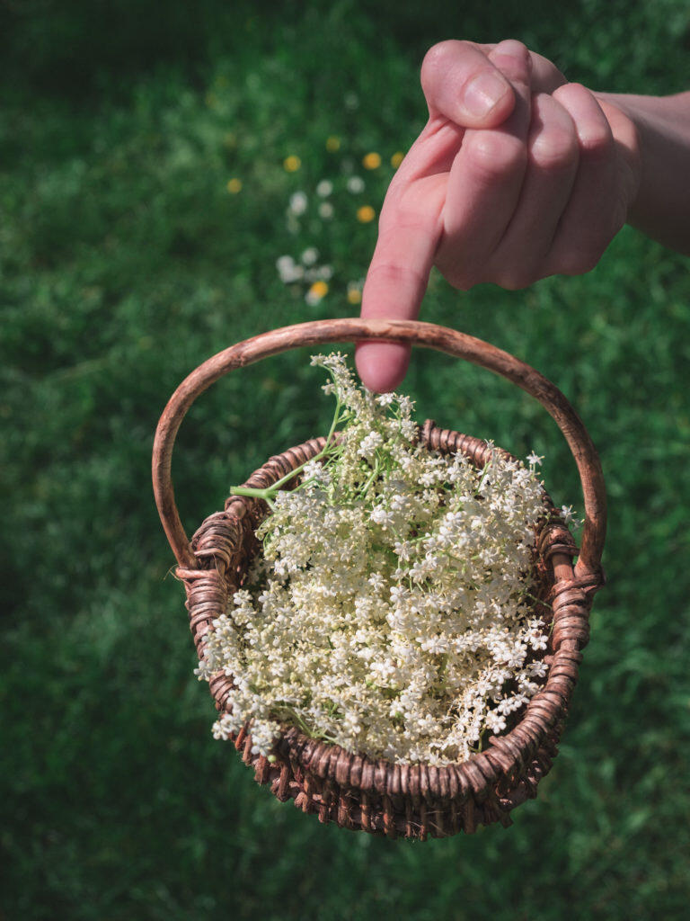 Louzou Panier-Sureau-pour-Blog-768x1024