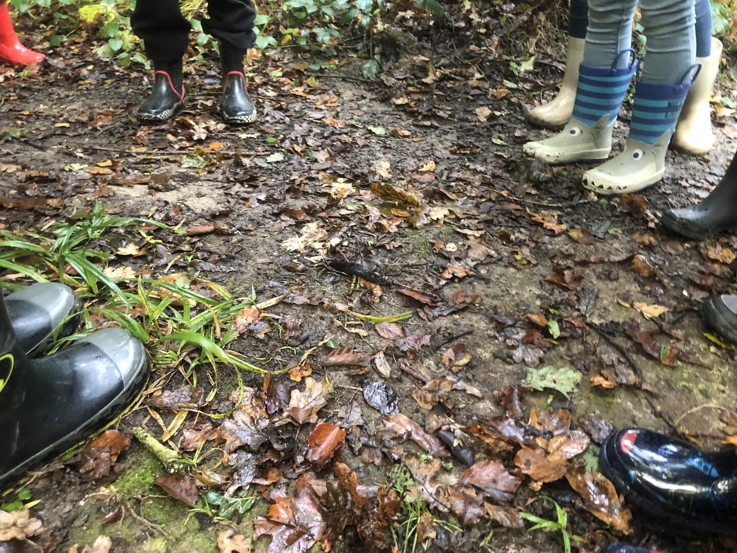 PNR - détective d'un après-midi