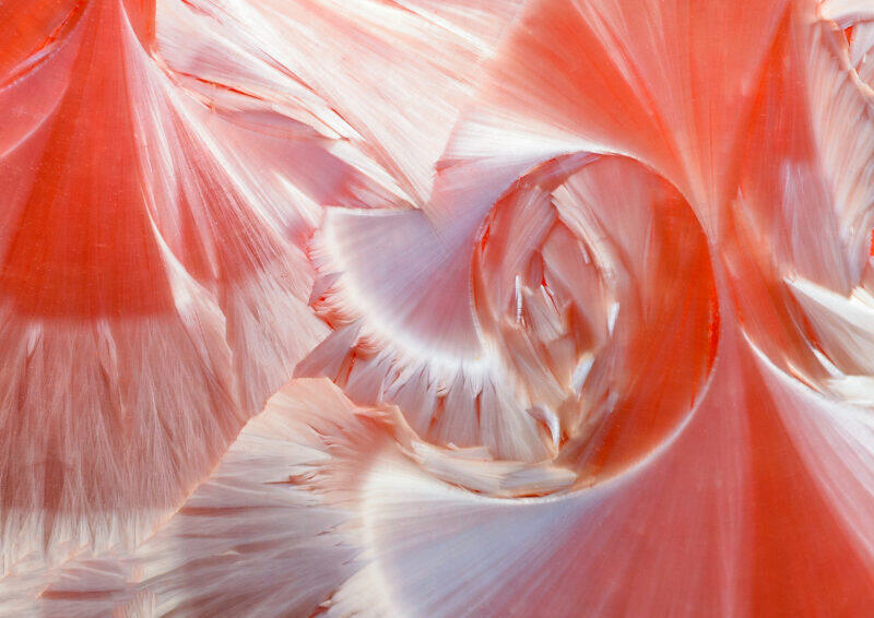 Philippe-Ladouce-pot-Martine-A3-300ppi-Srvb-800x566