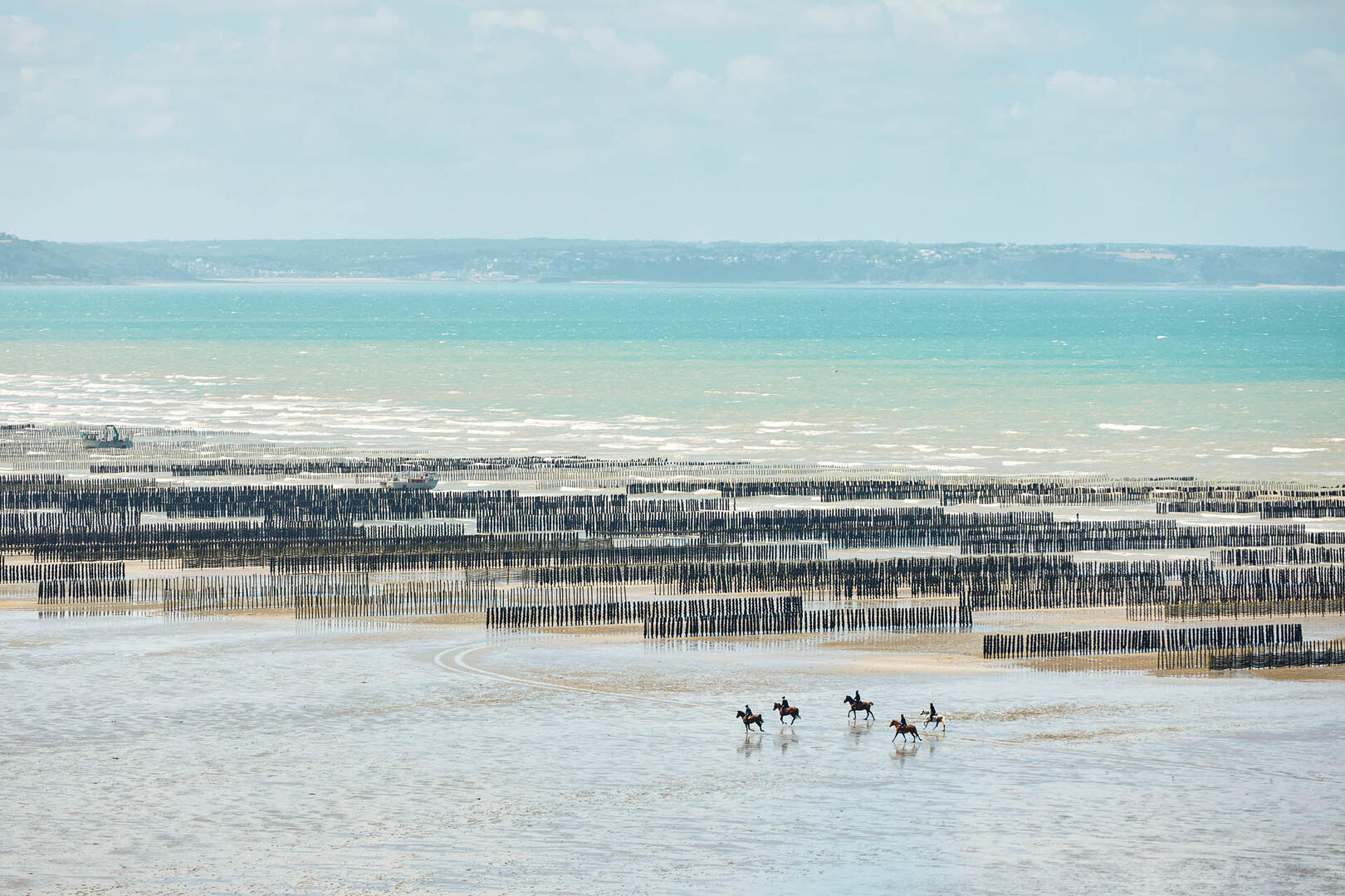 Planguenoual2020©alamoureux_3K3_7036