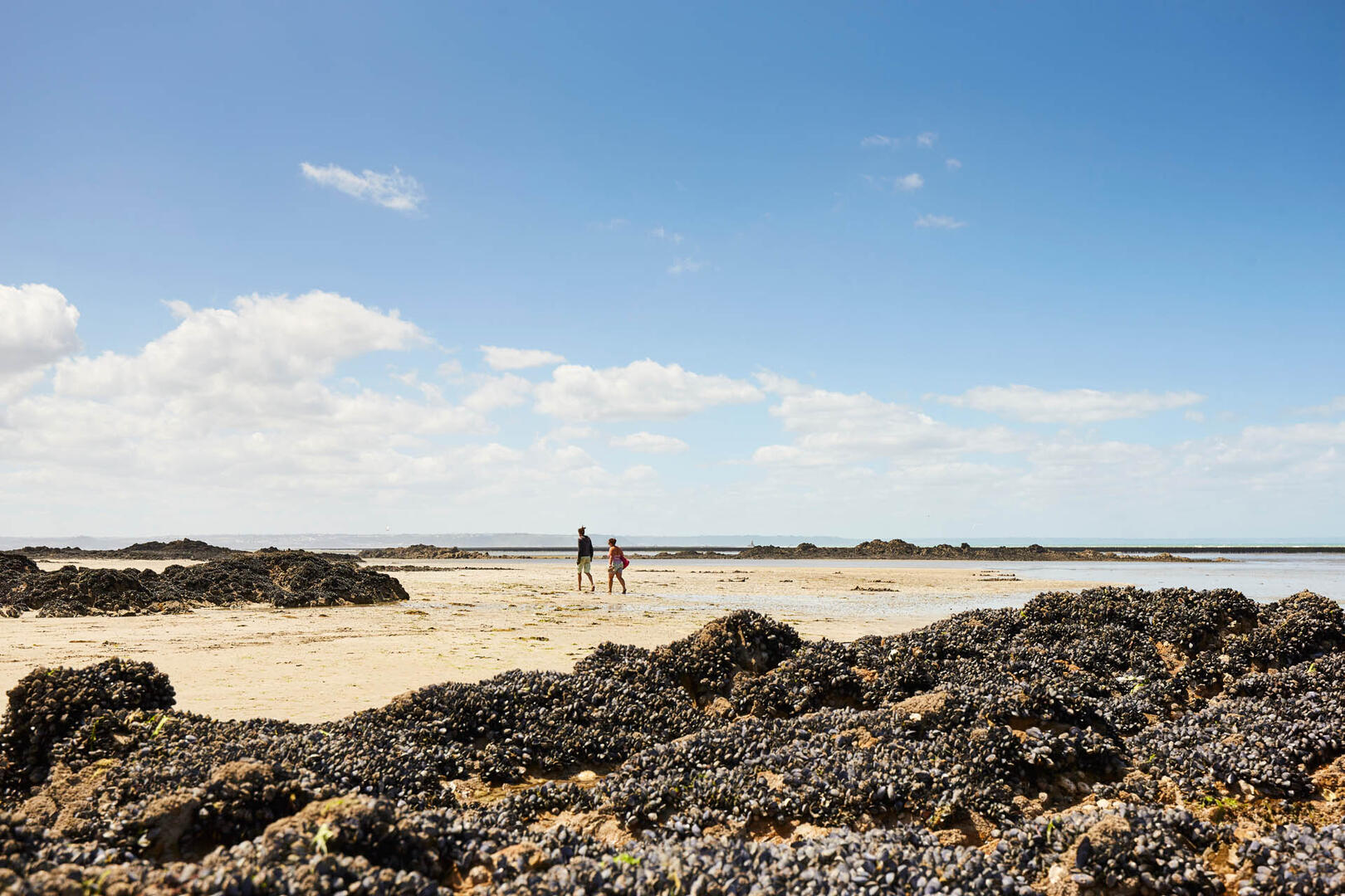 Planguenoual2020©alamoureux_MG_3768