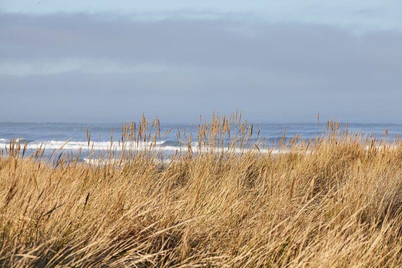 Sortie nature - Penmarch - Pays bigouden