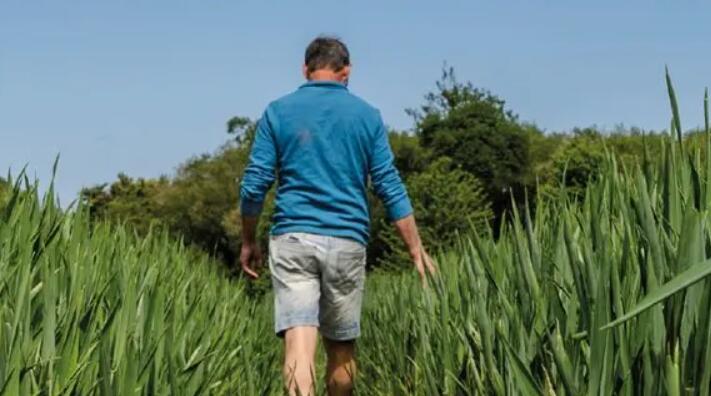 Portraits d'agriculteurs
