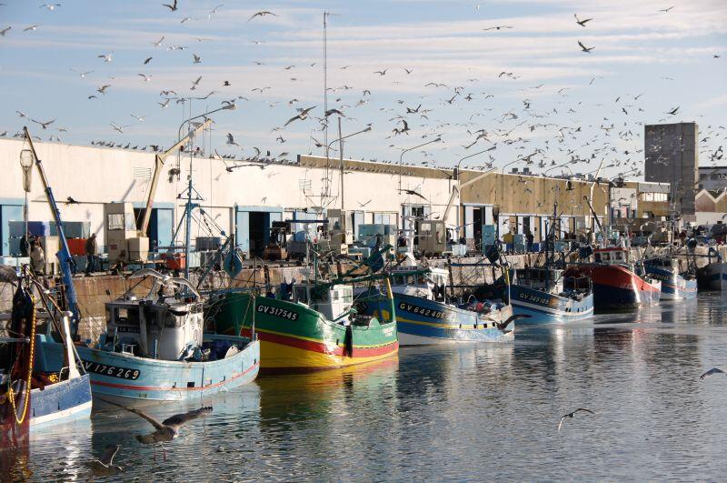 Port de St-Guénolé - Penmarch - Pays bigouden
