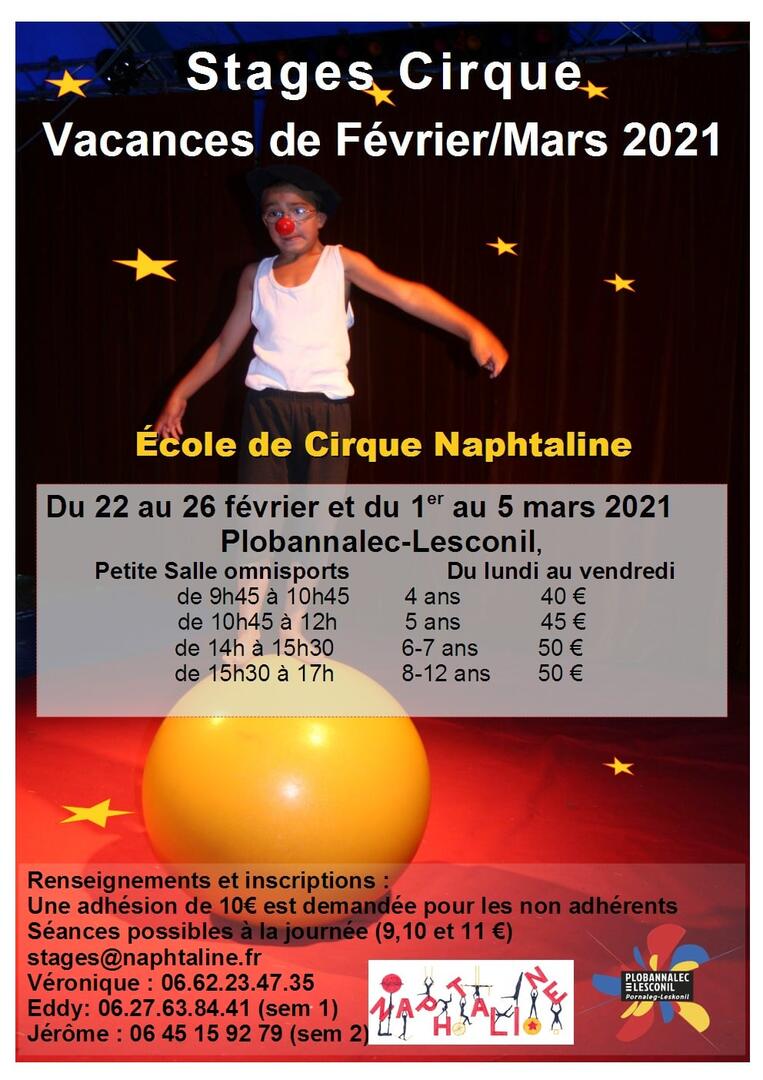 Stage de cirque