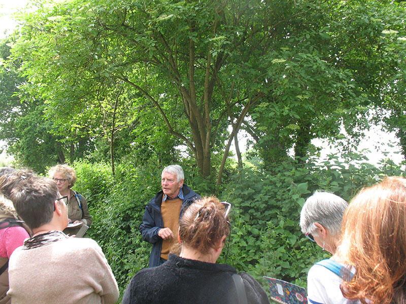 Découverte des plantes sauvages comestibles-Pays Bigouden-Bigoudenjoy