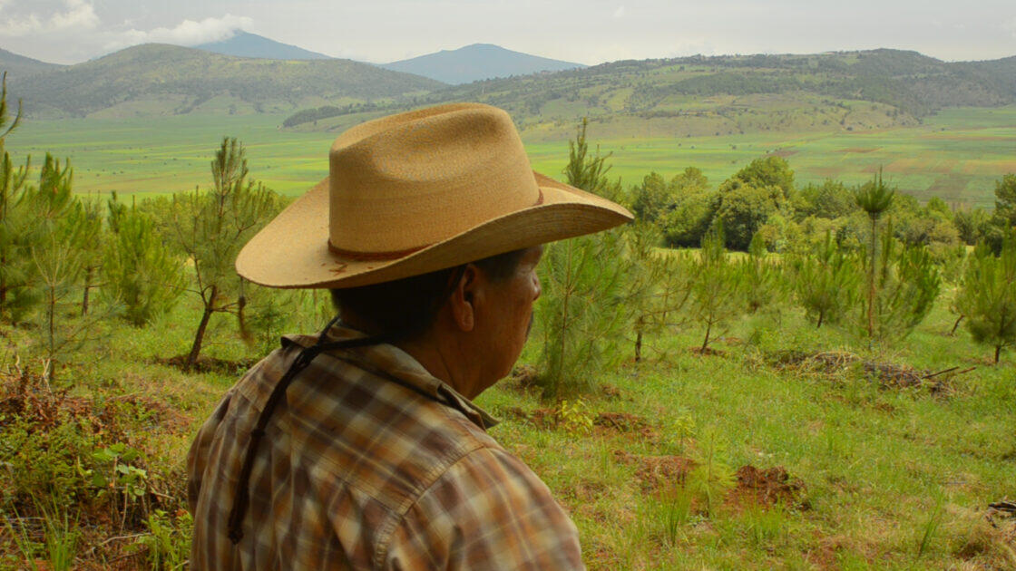 Trinidad-en-el-cerro-1120x630
