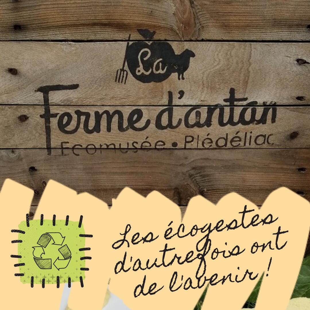 Les écogestes d'autrefois ont de l'avenir ! - 1