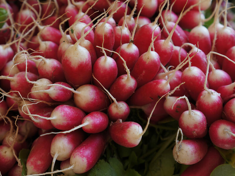 marché légumes