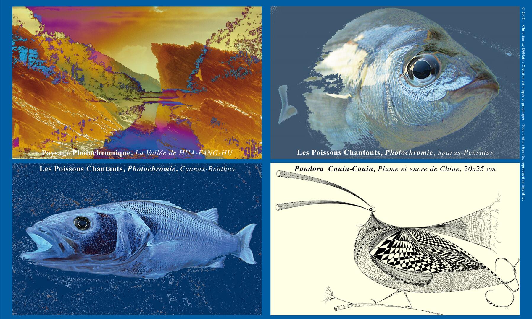 Expo - Combrit - Sainte-Marine - Pays Bigouden - Bigoudenjoy